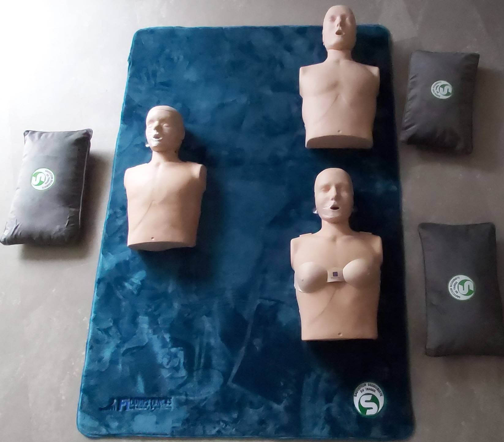 ANIMATION FORMATION SST FL COMPETENCES 